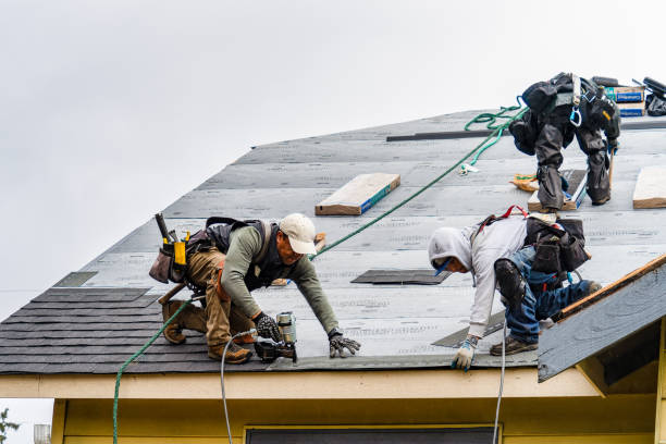 Professional Gutter Installation technician working in Allerton, IA